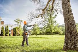 Best Lawn Maintenance Plans  in University Center, VA