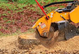 Best Tree Cabling and Bracing  in University Center, VA