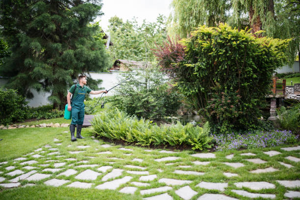 Best Lawn Pest Prevention  in University Center, VA